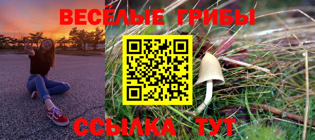 Галлюциногенные грибы ЛСД Соликамск