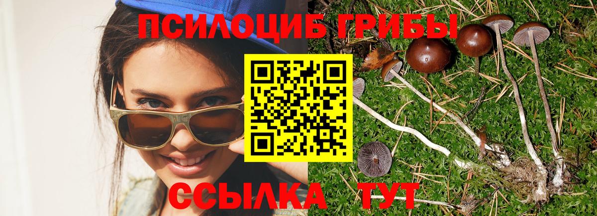 Галлюциногенные грибы Magic Shrooms  Вход с VPN  цена   Соликамск 